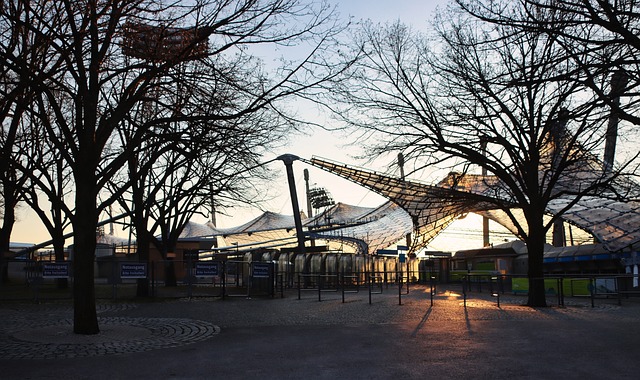 来自北京的 来自北京的