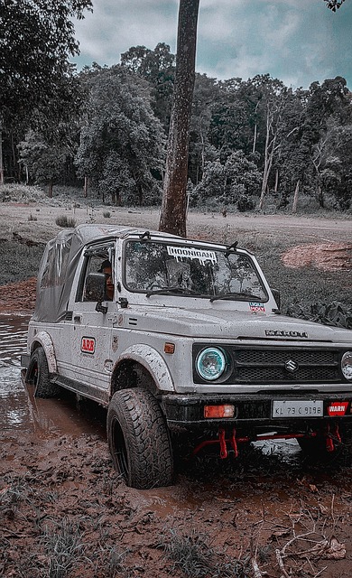 从数据上看 从数据上看