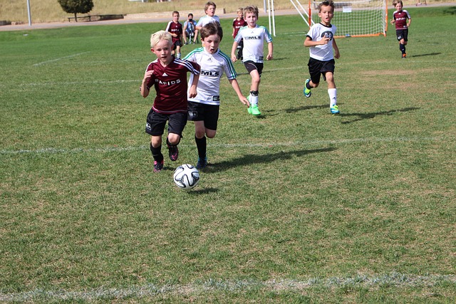 的战术转换 的战术转换