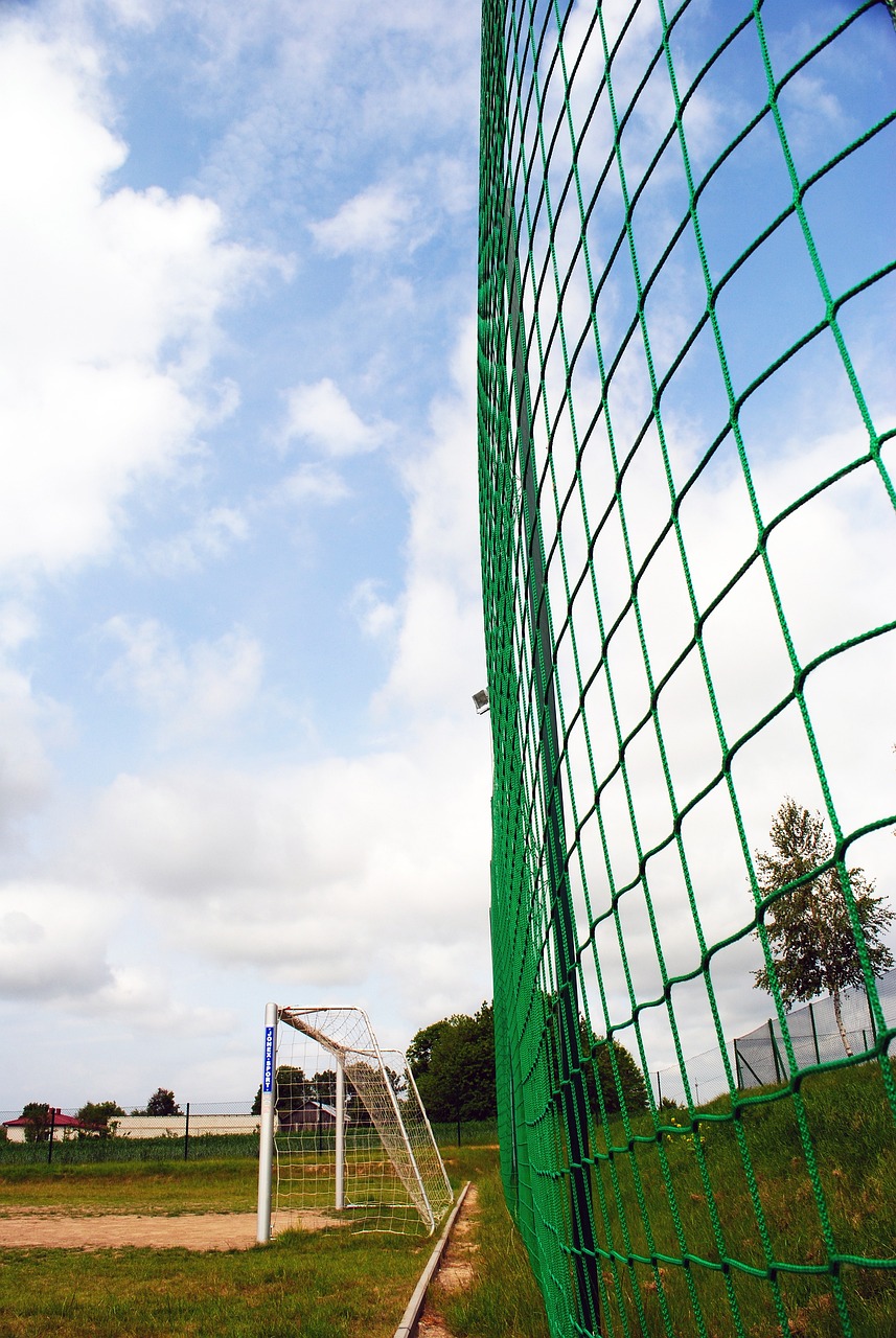 一届乒超联 一届乒超联