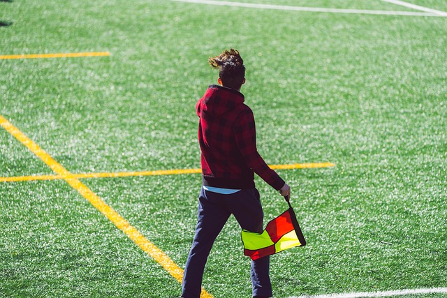 和成熟的比 和成熟的比