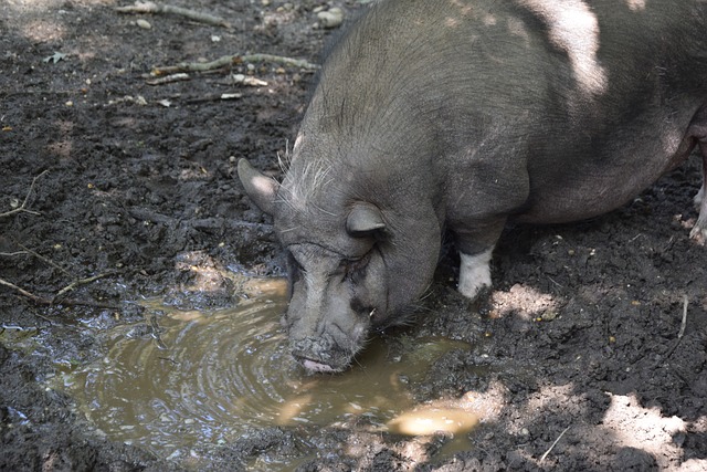 都让人印象 都让人印象