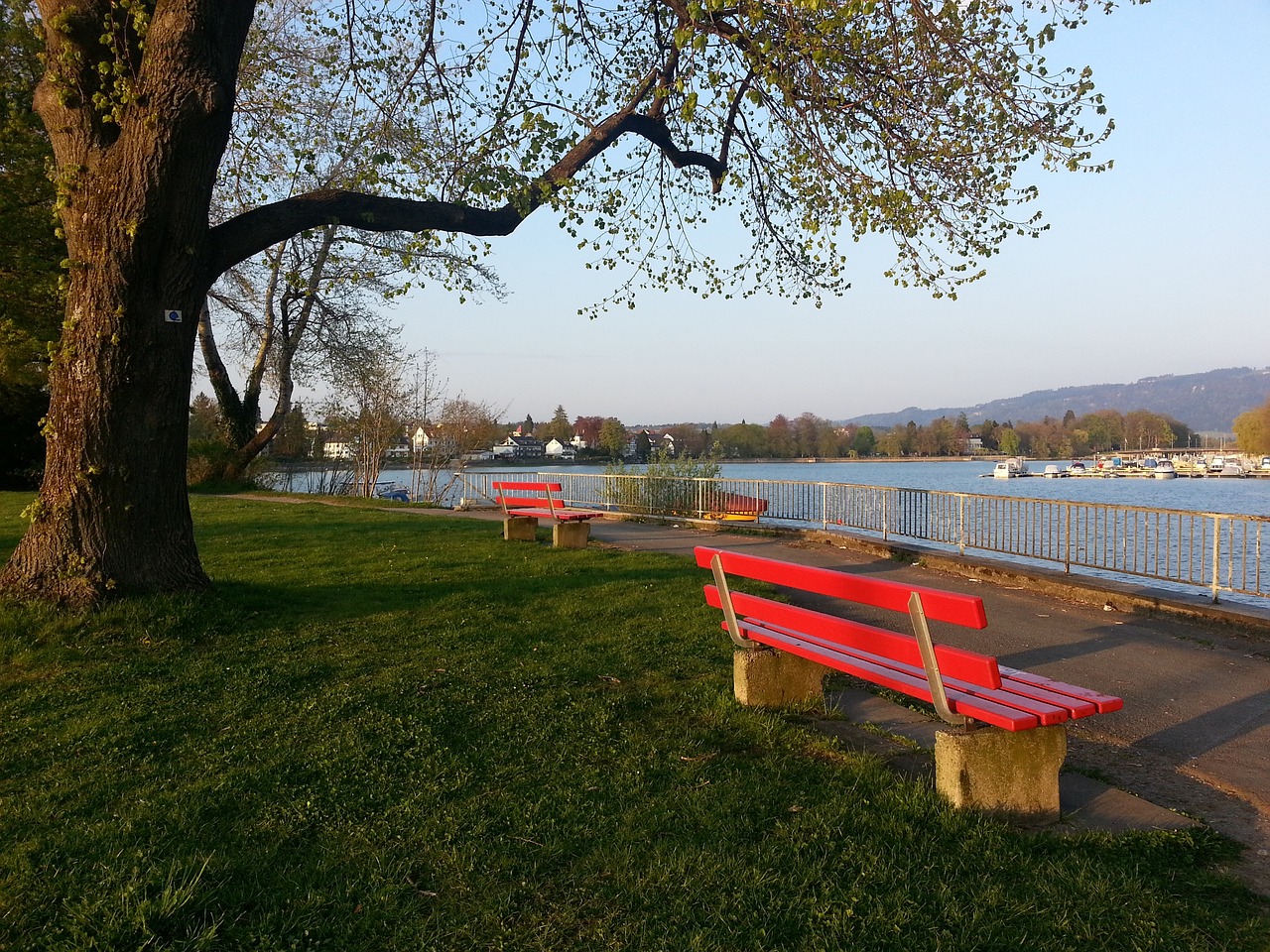 中国消费市场春潮涌动 世界看好中国商机.