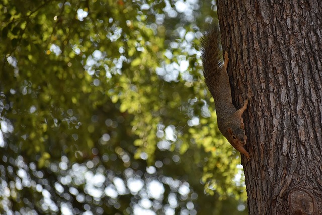 经典案例 经典案例