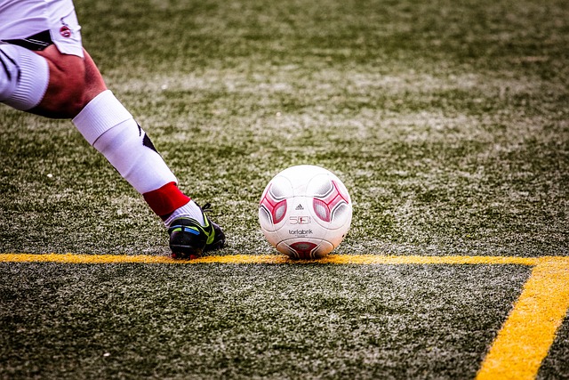 充分展現了 充分展現了