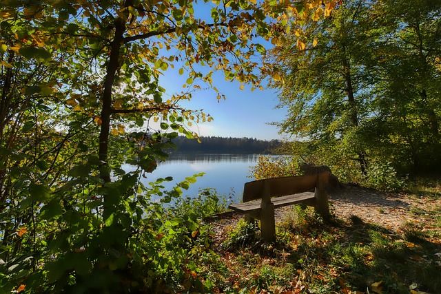 曼联和皇马 曼联和皇马