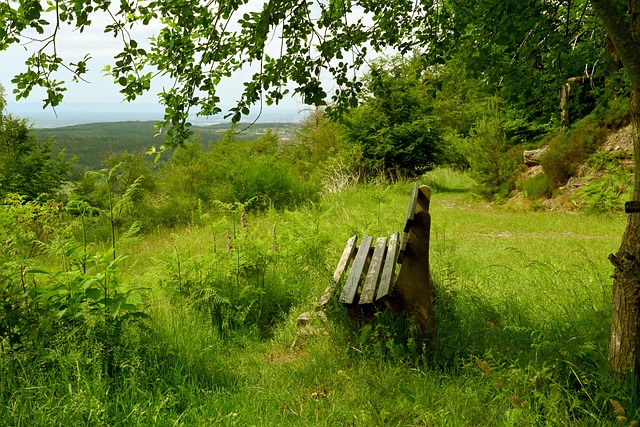 球队训练结束后 维金斯和李凯尔留下来加练 嘴哥的投篮，身体看起来有点歪.
